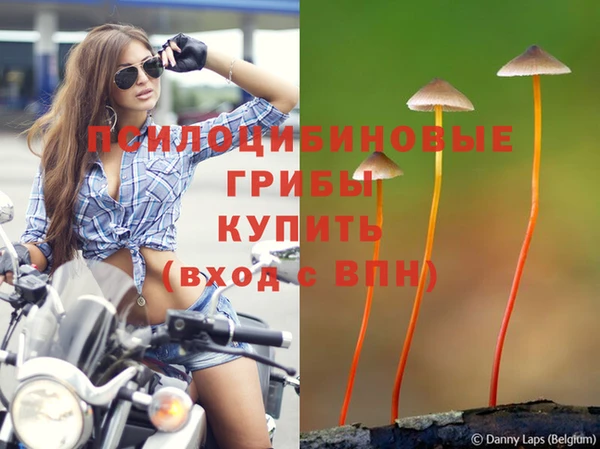 jwh Краснотурьинск