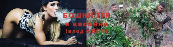 амф Костерёво