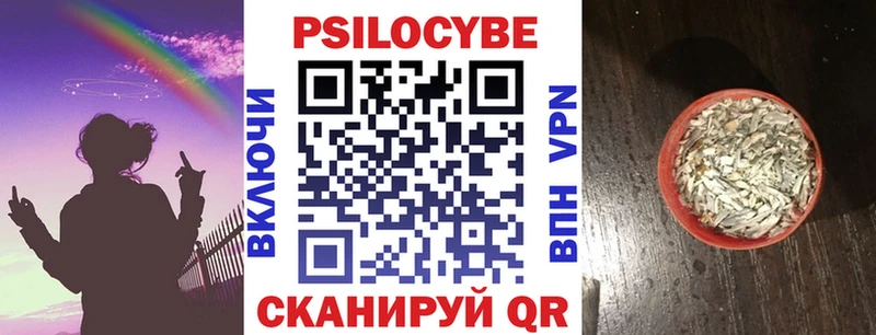 Галлюциногенные грибы мицелий закладки Курчатов