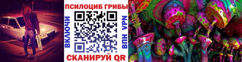 Псилоцибиновые грибы Cubensis Курчатов
