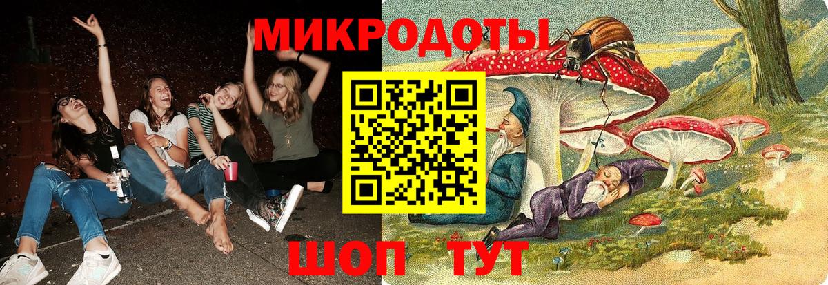 где купить наркотик  Вход с VPN  Курчатов  Галлюциногенные грибы Psilocybine cubensis 