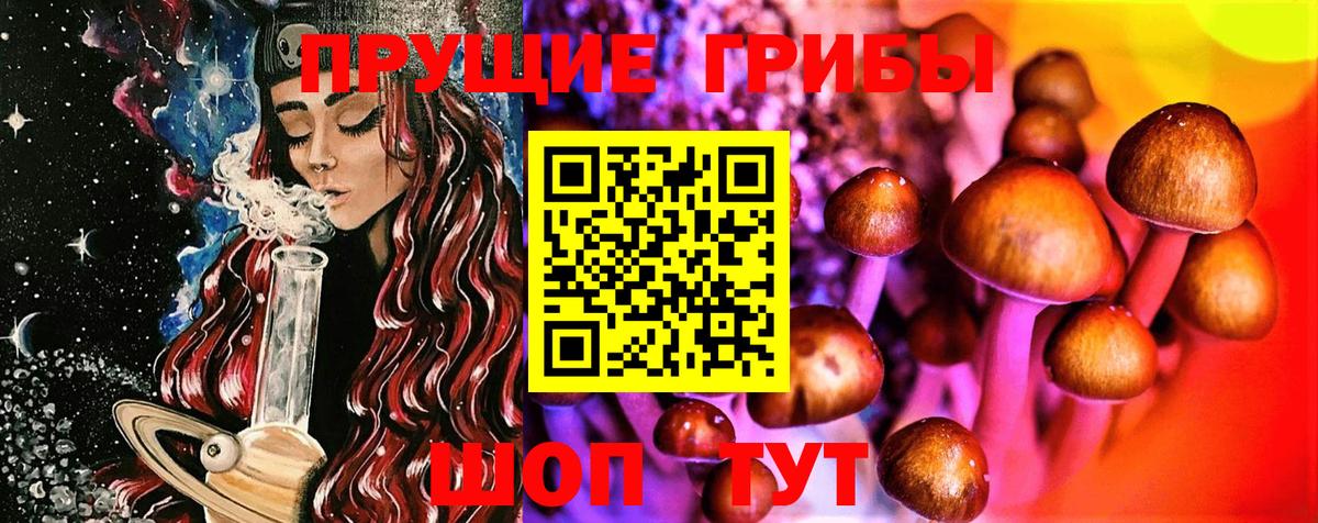 Галлюциногенные грибы мицелий Курчатов
